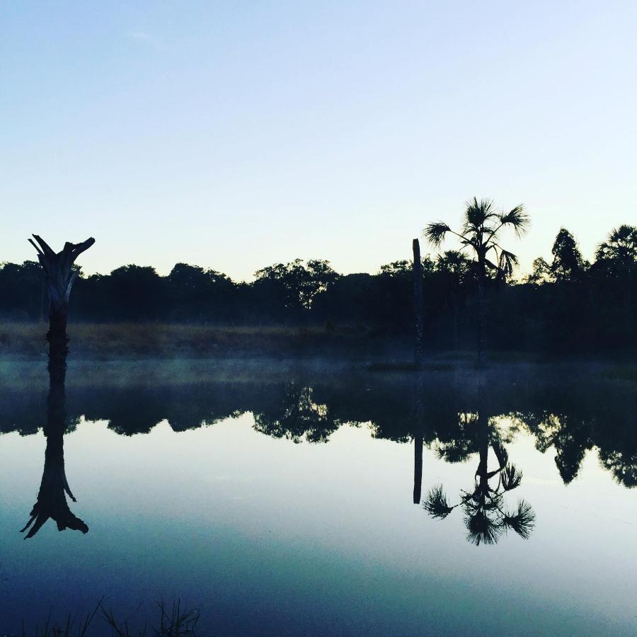 Pirenópolis Reserva Jasmim Mangaヴィラ エクステリア 写真
