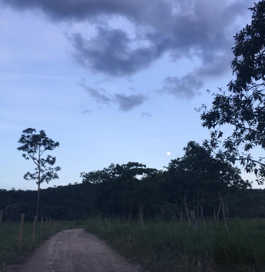 Pirenópolis Reserva Jasmim Mangaヴィラ エクステリア 写真
